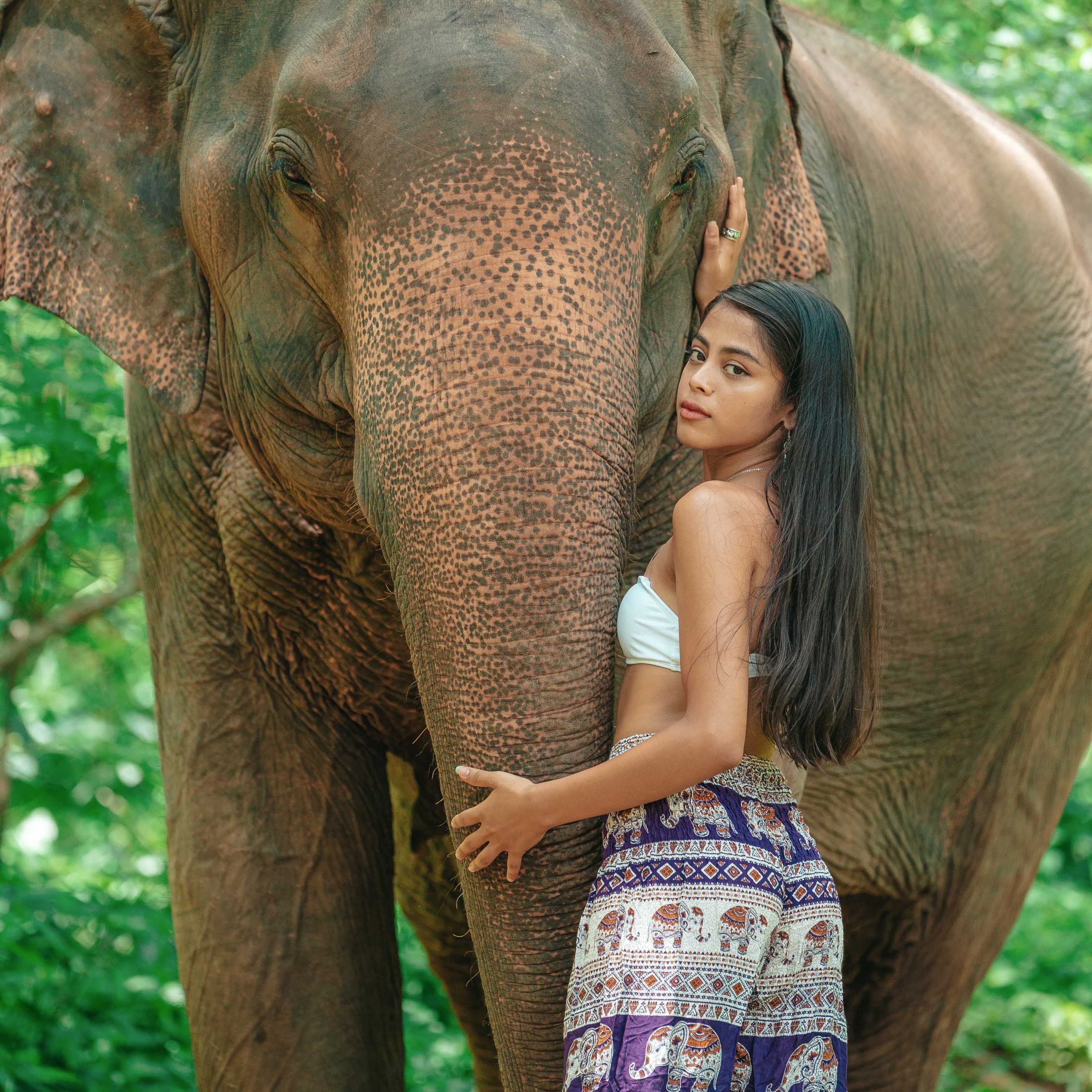 Angkor Elephant Pants - PURPLE Elepanta Women's Pants - Buy Today Elephant Pants Jewelry And Bohemian Clothes Handmade In Thailand Help To Save The Elephants FairTrade And Vegan
