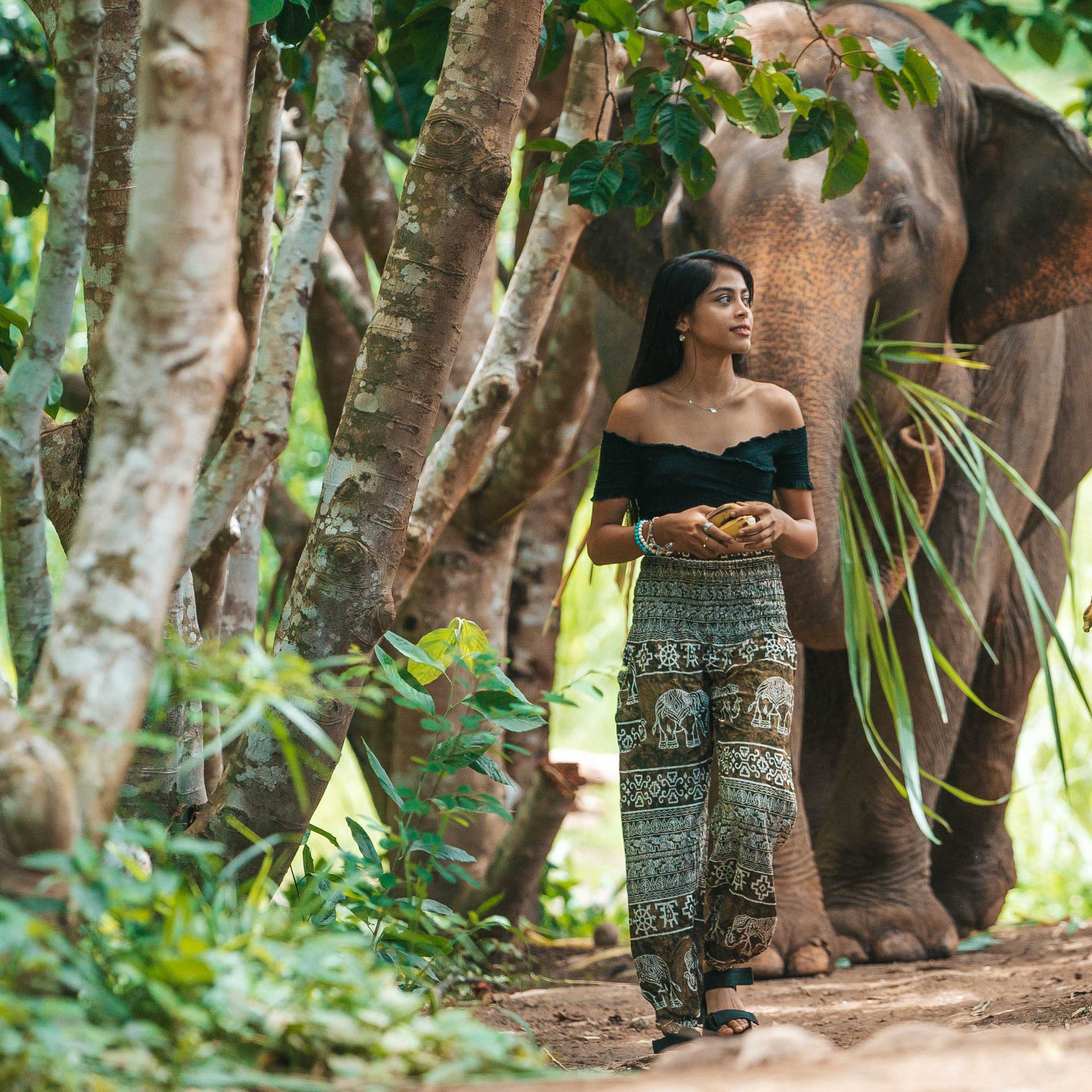 COLOMBO ELEPHANT PANTS - GREEN Elepanta Women's Pants - Buy Today Elephant Pants Jewelry And Bohemian Clothes Handmade In Thailand Help To Save The Elephants FairTrade And Vegan