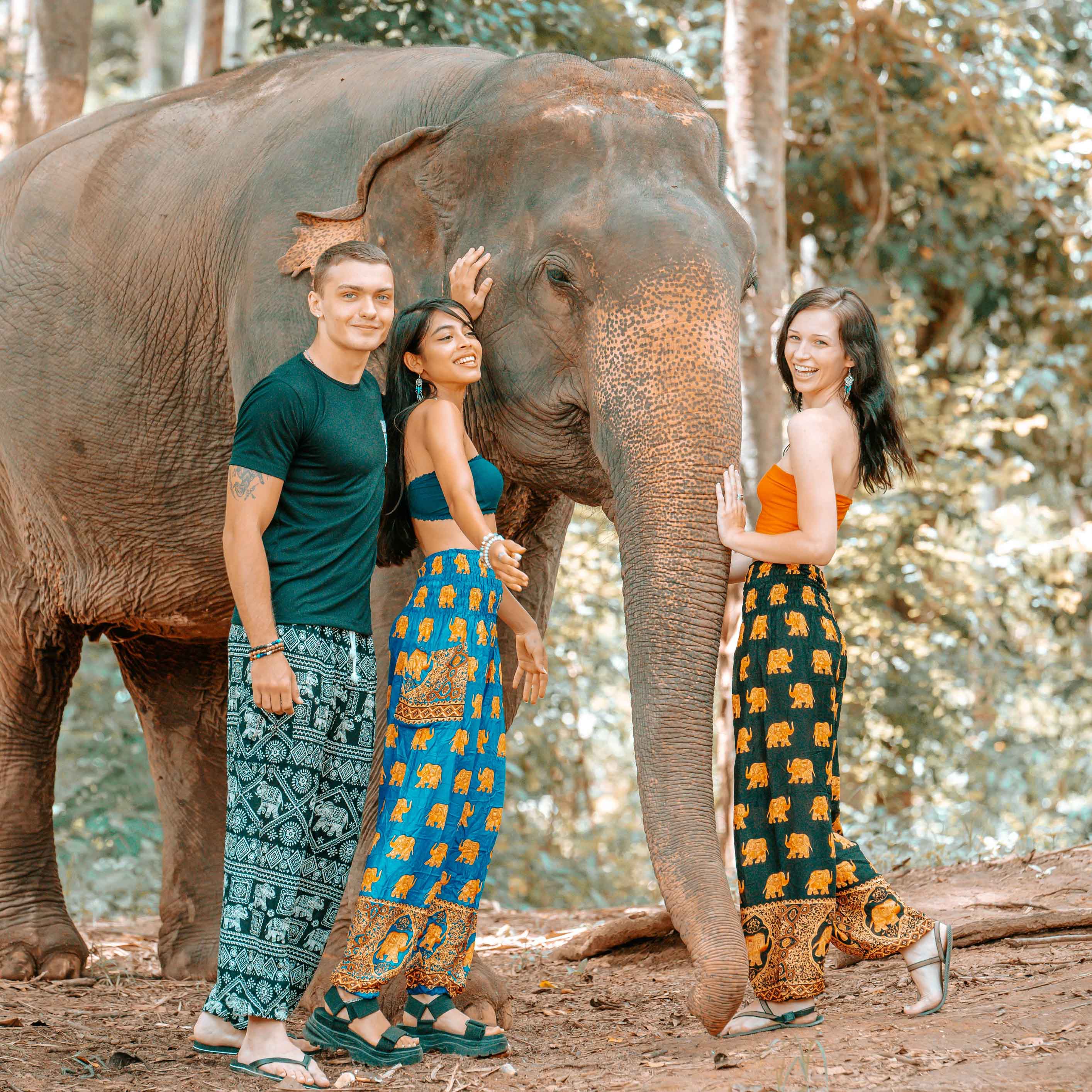 Navy and White Ethnic Elephant Print Harem Trousers | Off-White | Yoga,  Vacation, Beach, Gift, Printed, Elephant