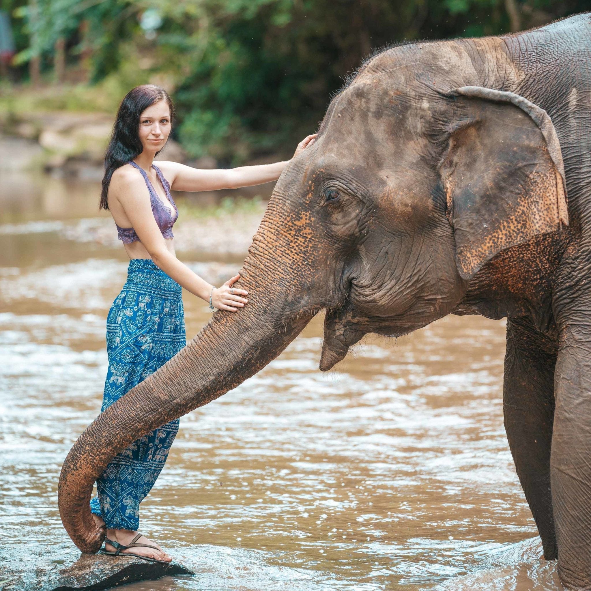 AGRA PANTS - Elastic Waist Elepanta Elastic Waist Pants - Buy Today Elephant Pants Jewelry And Bohemian Clothes Handmade In Thailand Help To Save The Elephants FairTrade And Vegan