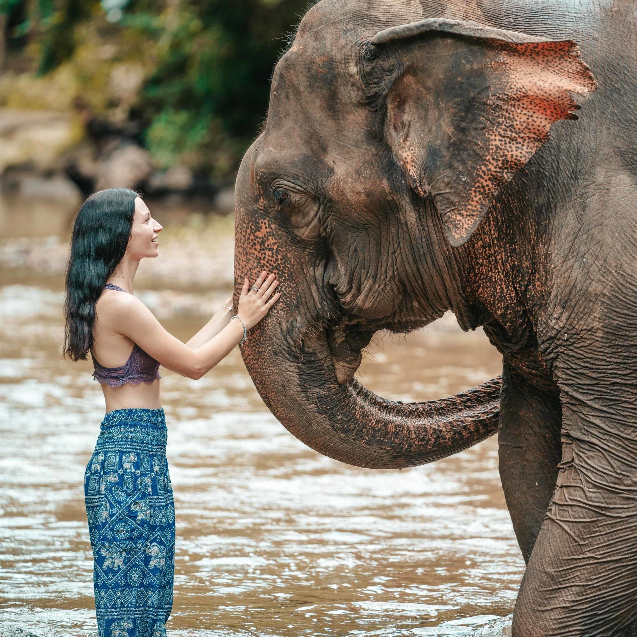 AGRA PANTS - Elastic Waist Elepanta Elastic Waist Pants - Buy Today Elephant Pants Jewelry And Bohemian Clothes Handmade In Thailand Help To Save The Elephants FairTrade And Vegan