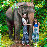 MANDALAY PANTS - Elastic Waists Elepanta Elastic Waist Pants - Buy Today Elephant Pants Jewelry And Bohemian Clothes Handmade In Thailand Help To Save The Elephants FairTrade And Vegan