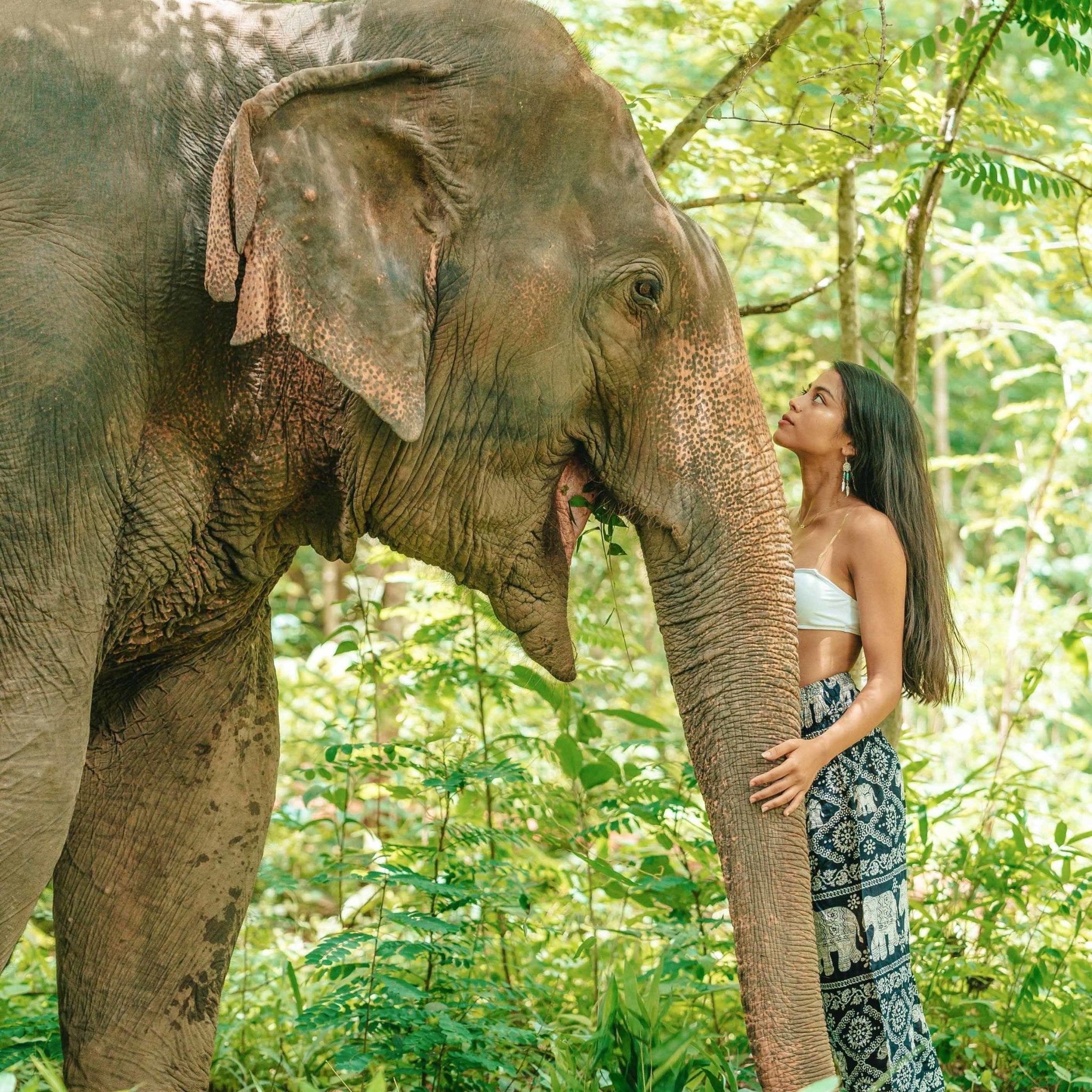 MANDALAY PANTS - Elastic Waists Elepanta Elastic Waist Pants - Buy Today Elephant Pants Jewelry And Bohemian Clothes Handmade In Thailand Help To Save The Elephants FairTrade And Vegan