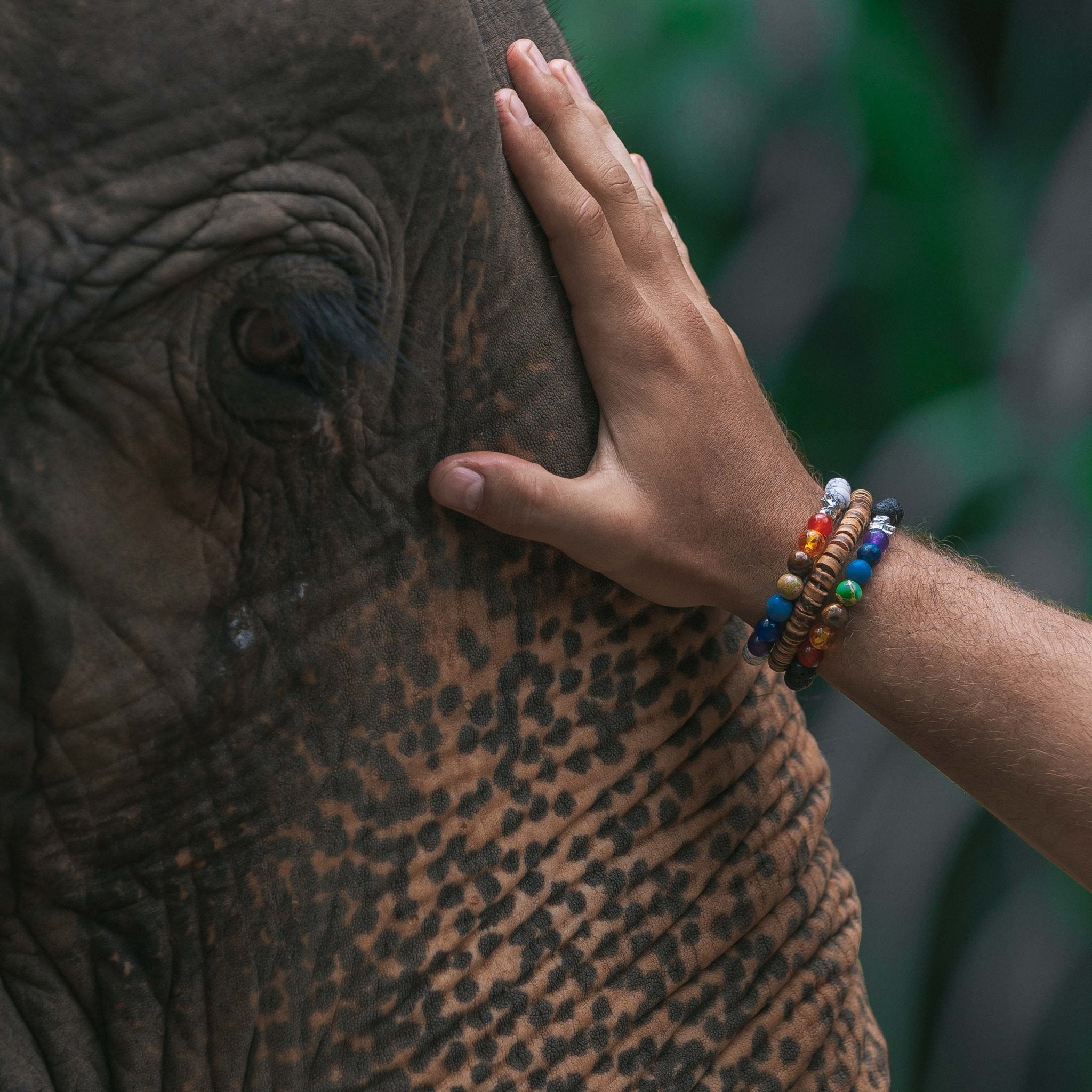 MALAWI ELEPHANT BRACELET Elepanta Elephant Bracelet - Buy Today Elephant Pants Jewelry And Bohemian Clothes Handmade In Thailand Help To Save The Elephants FairTrade And Vegan