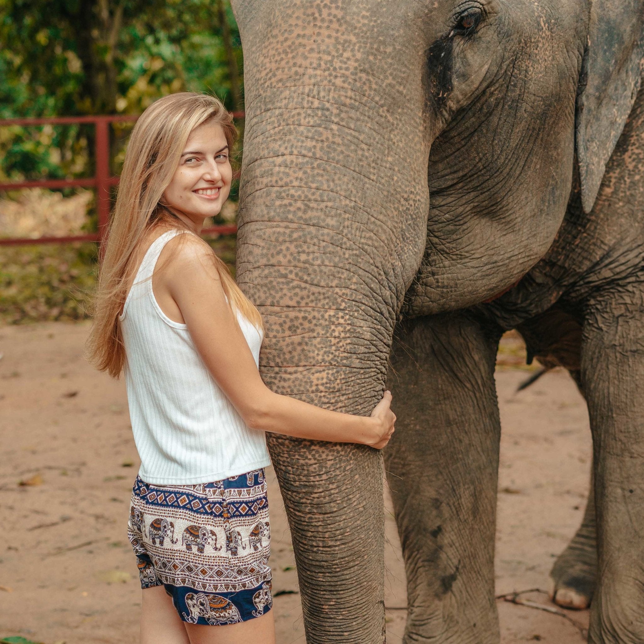 ANGKOR SHORTS Elepanta Women's Shorts - Buy Today Elephant Pants Jewelry And Bohemian Clothes Handmade In Thailand Help To Save The Elephants FairTrade And Vegan