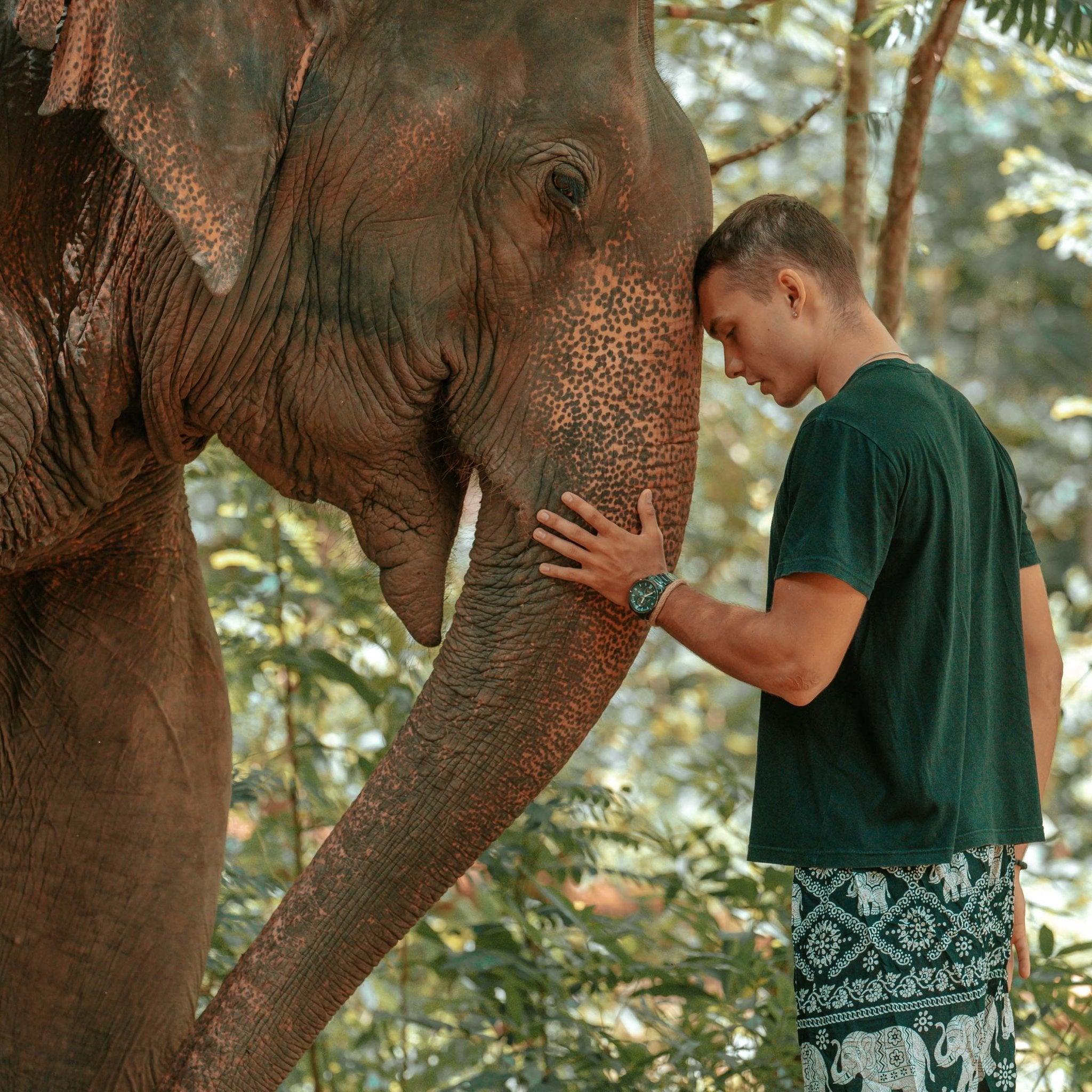 MANDALAY MEN'S SHORTS Elepanta Men's Shorts - Buy Today Elephant Pants Jewelry And Bohemian Clothes Handmade In Thailand Help To Save The Elephants FairTrade And Vegan